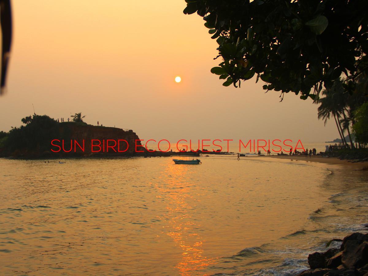 ホテル Sun Bird Eco Guest ミリッサ エクステリア 写真