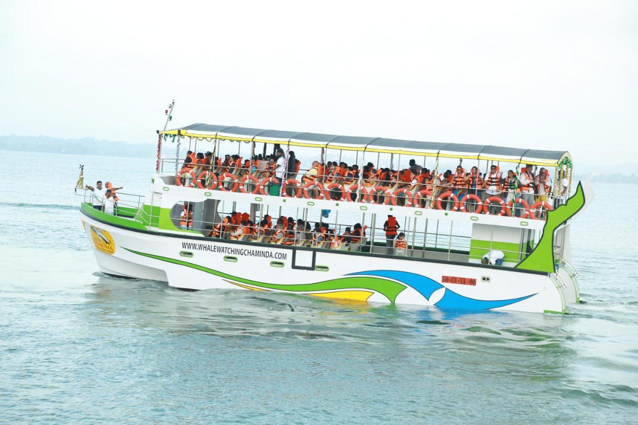 ホテル Sun Bird Eco Guest ミリッサ エクステリア 写真